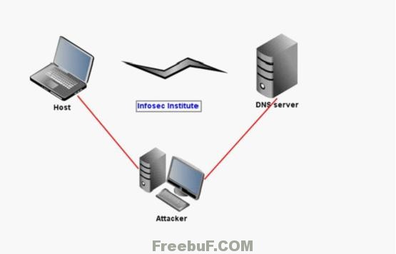 DNS2